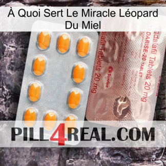 À Quoi Sert Le Miracle Léopard Du Miel new13